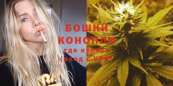 сатива Михайлов