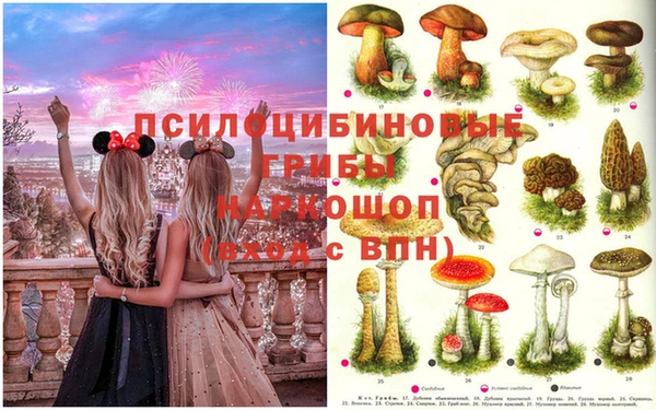 сатива Михайлов