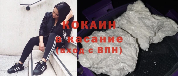 трава Наволоки