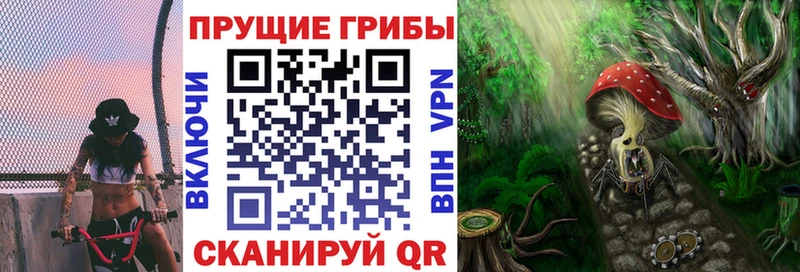 Галлюциногенные грибы ЛСД  Ачхой-Мартан 
